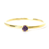Anillo Oro Amarillo con Amatista .05 ct