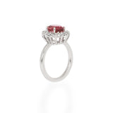 Anillo Oro Blanco Turmalina Rosa 3.00 ct y Diamantes Halo .48 ctw