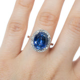 Anillo Oro Blanco Zafiro 5.00 ct y Diamantes Halo .25 ctw